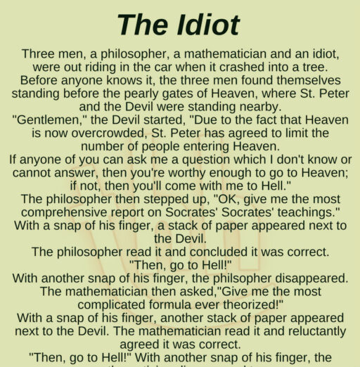 THE IDIOT(FUNNY STORY)