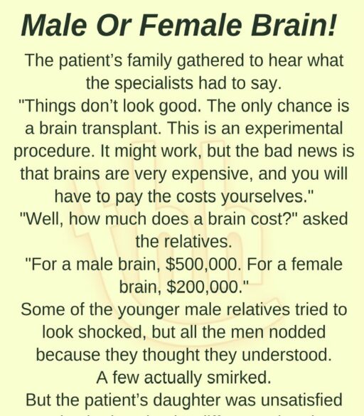 MALE OR FEMALE BRAIN!(FUNNY STORY)