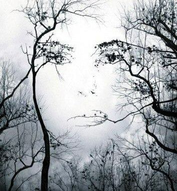 95% of people are unable to locate the hidden face in the image!