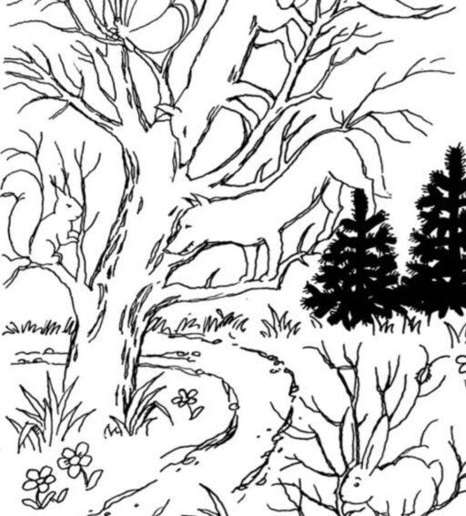 Mini-test. Animals are playing hide and seek